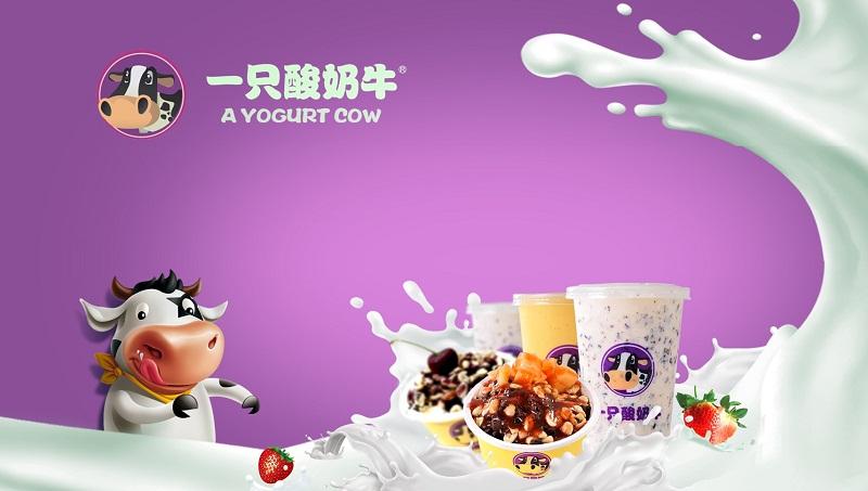 在杭州加盟一只酸奶牛你绝不会后悔