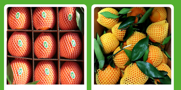 果园一件代发水果货源，免费招水果代理